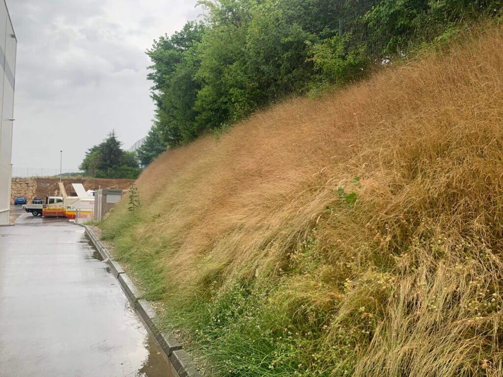 Hydroseeding Österreich